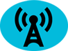 Logo: Radio Airplay Experts