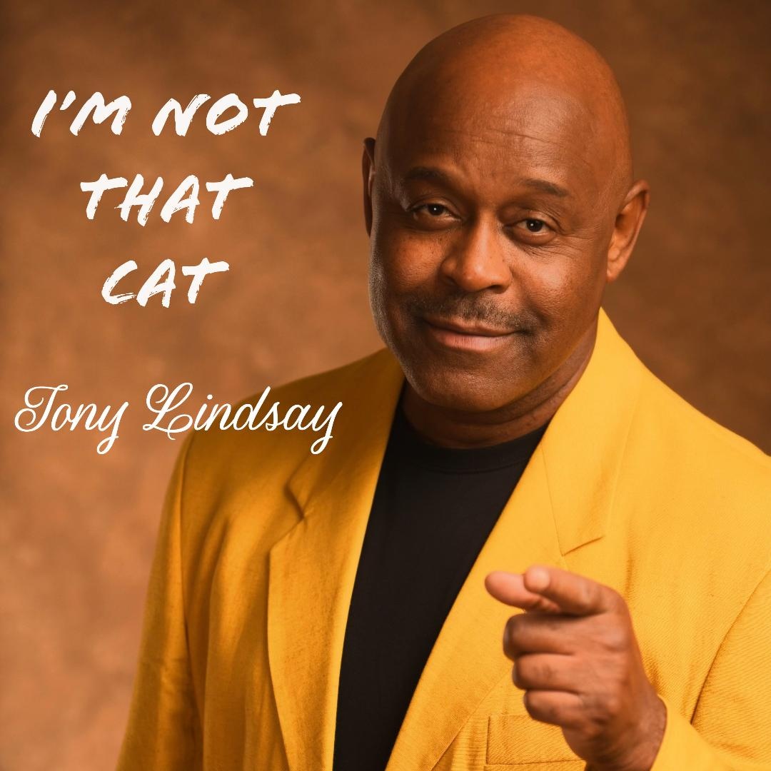 Image: TONY LINDSDAY  - IM NOT THAT CAT 