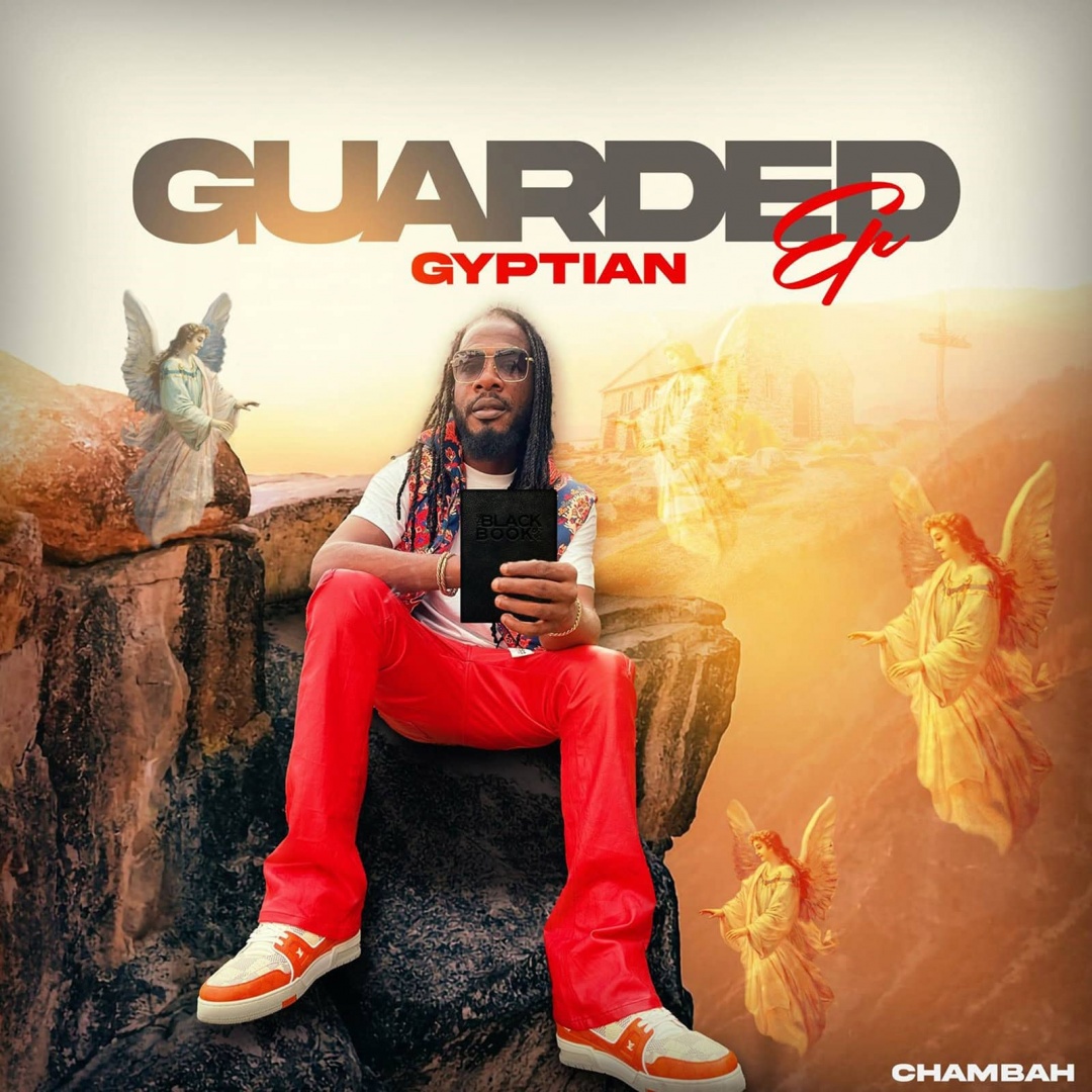 Image: GYPITIAN  - GUARDED 