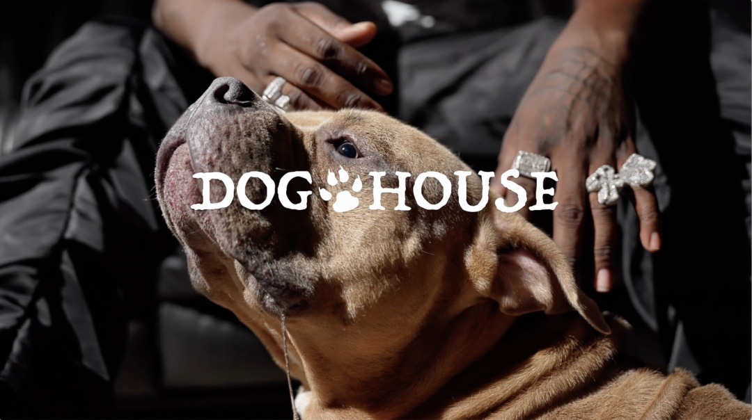 Image: MIKE CLARK JR  - DOG HOUSE 