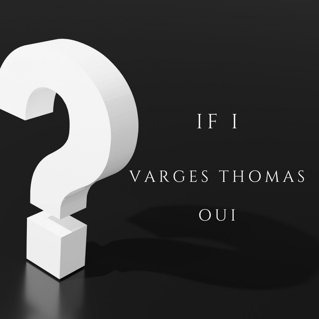 Image: VARGAS THOMAS  - IF I 